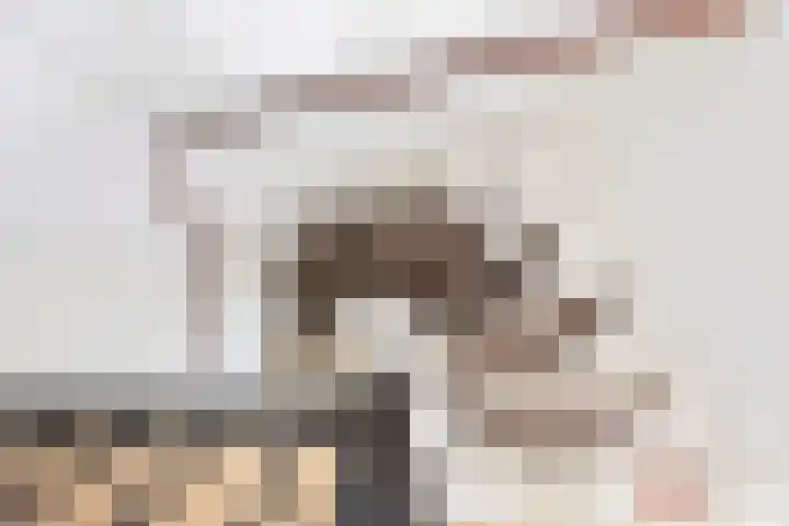 Van Speykstraat 30 Bedum thumbnail 31