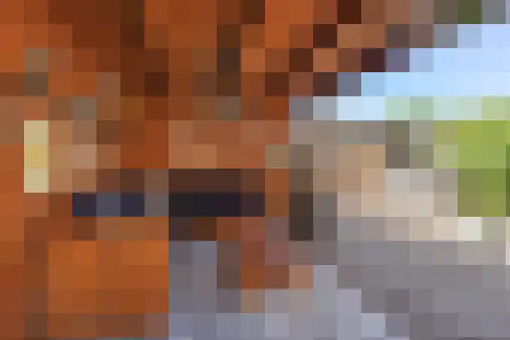 Van Speykstraat 30 Bedum thumbnail 38