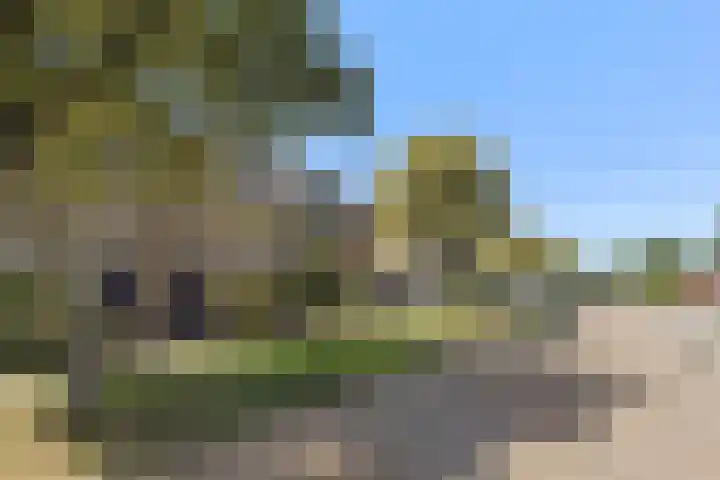 Van Speykstraat 30 Bedum thumbnail 8