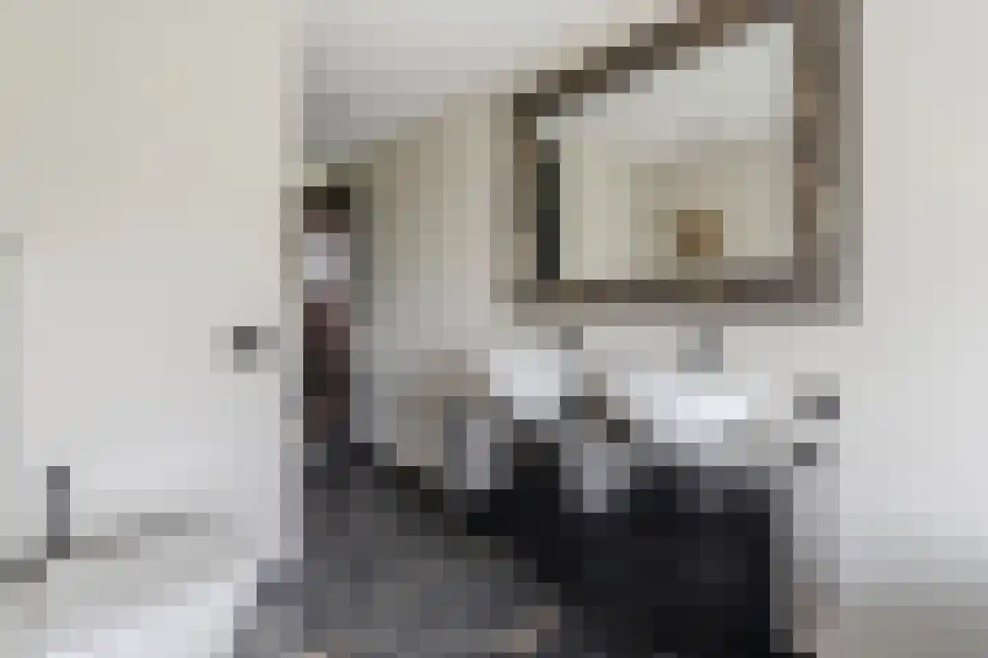 Van Speykstraat 30 Ter Heijde thumbnail 31