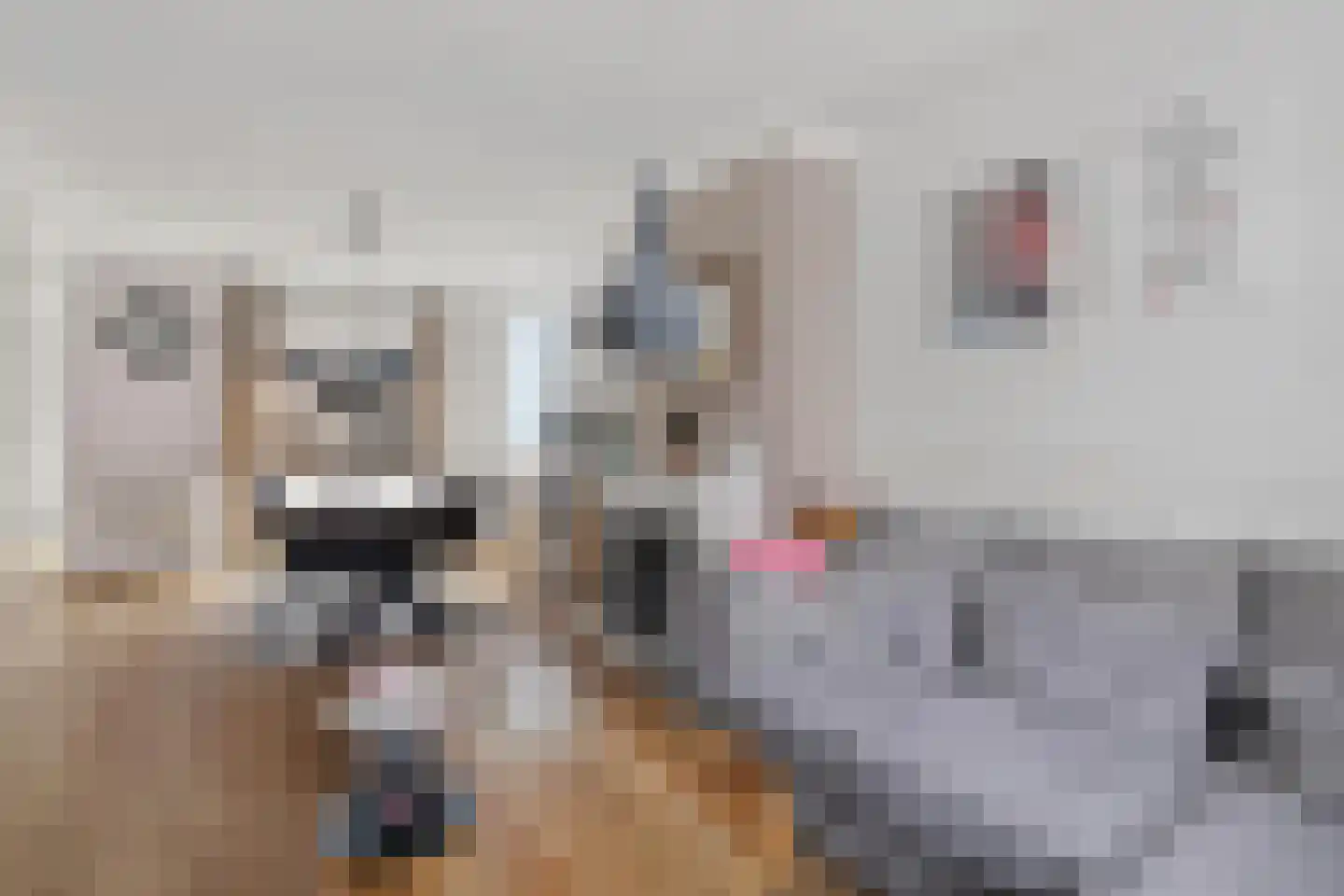 Van Speykstraat 31 Den Helder thumbnail 8
