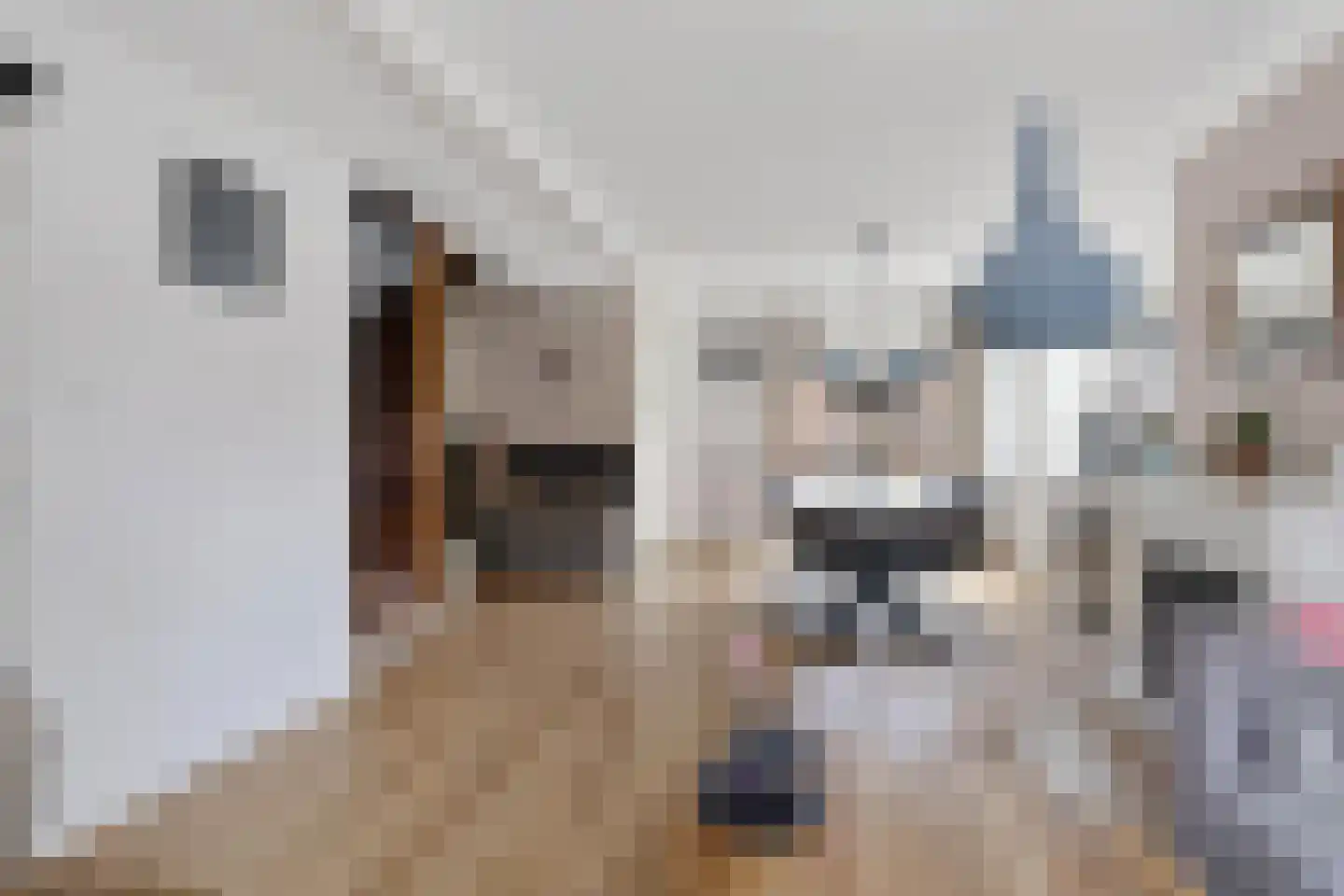 Van Speykstraat 31 Den Helder thumbnail 9