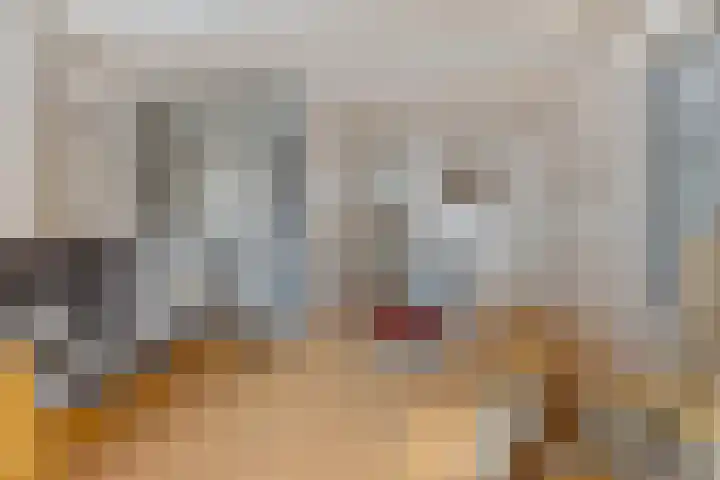 van Speykstraat 35 Roodeschool thumbnail 13