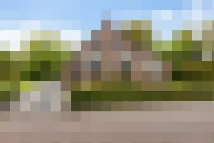 van Speykstraat 35 Roodeschool thumbnail 4