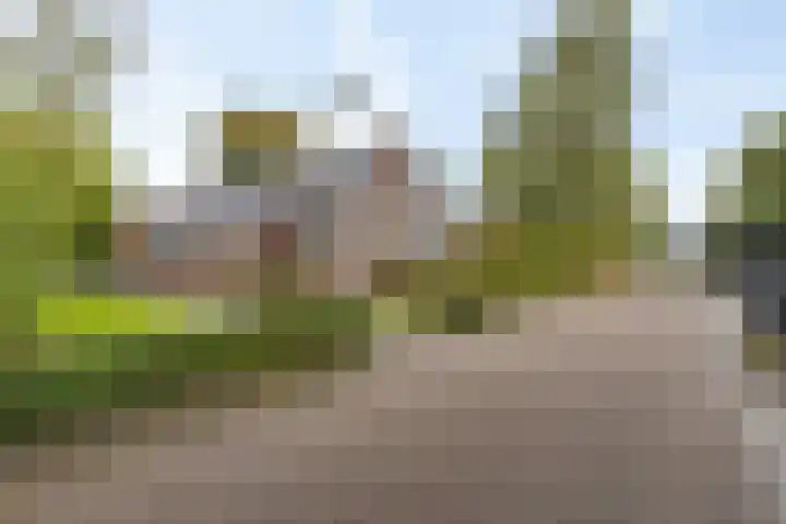 van Speykstraat 35 Roodeschool thumbnail 8