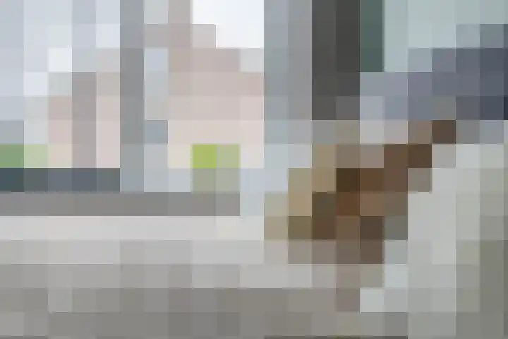 van Speykstraat 4 Lisse thumbnail 23