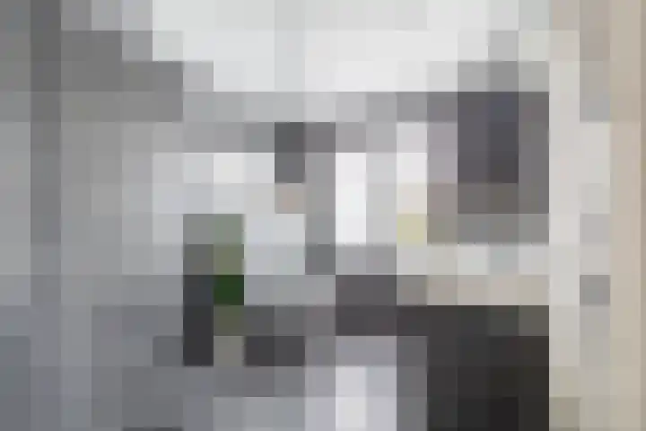 van Speykstraat 4 Lisse thumbnail 26