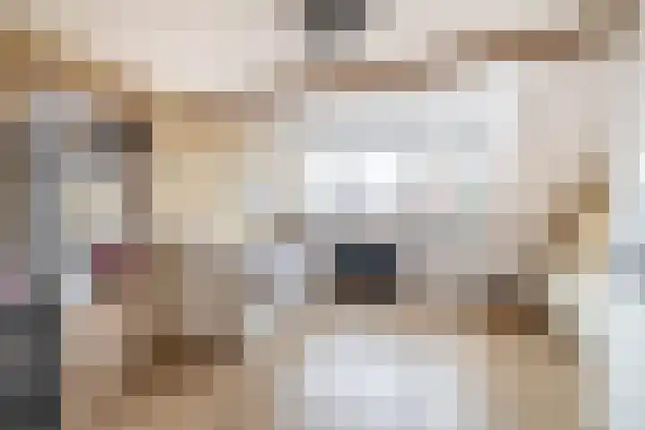 van Speykstraat 4 Lisse thumbnail 33