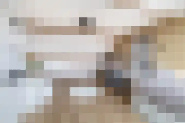 van Speykstraat 4 Lisse thumbnail 34