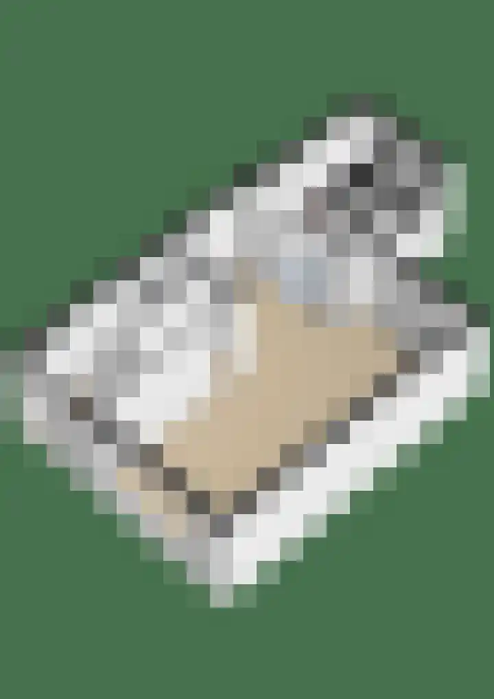 van Speykstraat 4 Lisse thumbnail 52