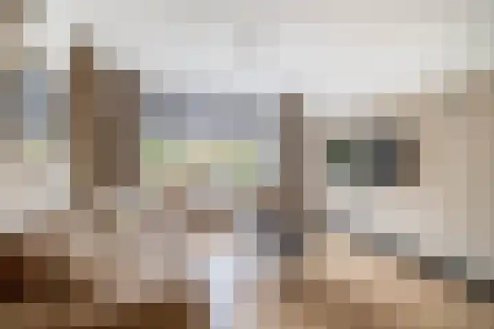 van Speykstraat 4 Lisse thumbnail 6