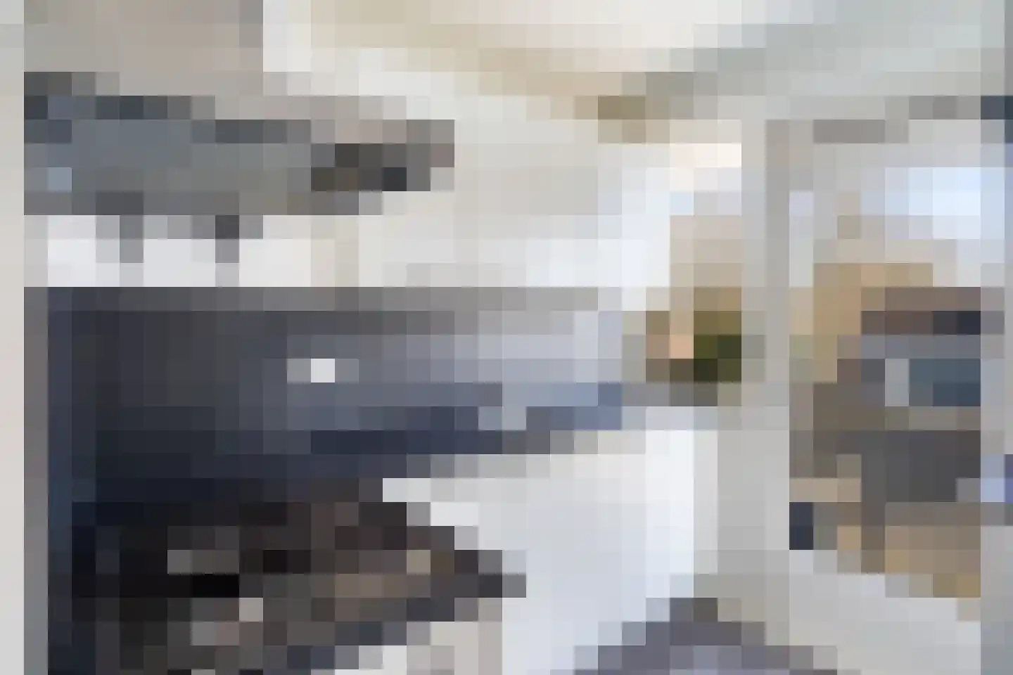 Van Speykstraat 4 Maarssen thumbnail 19