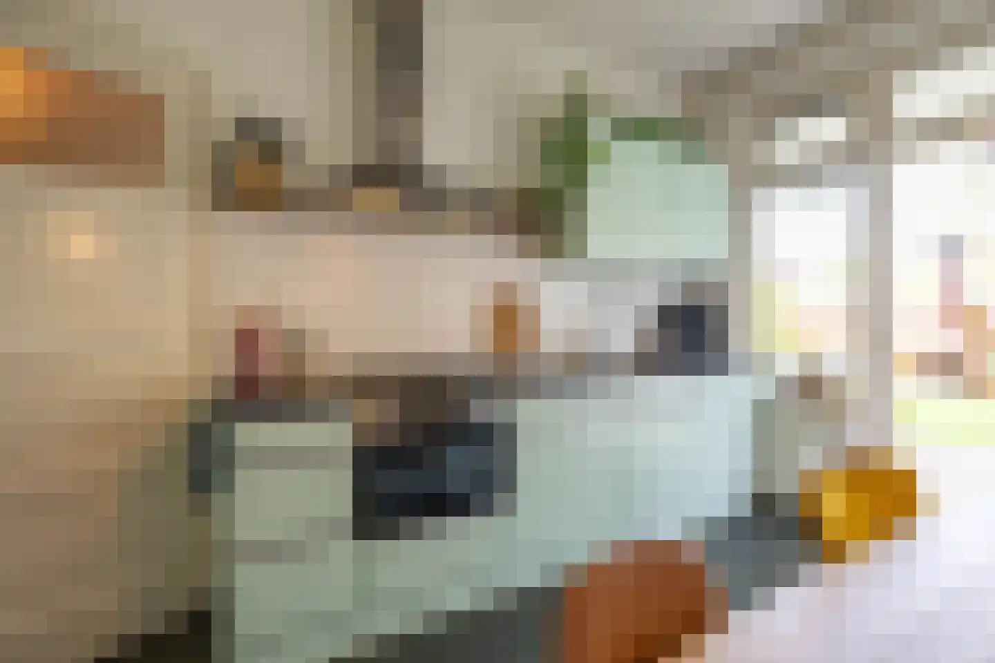 Van Speykstraat 43 Groningen thumbnail 16