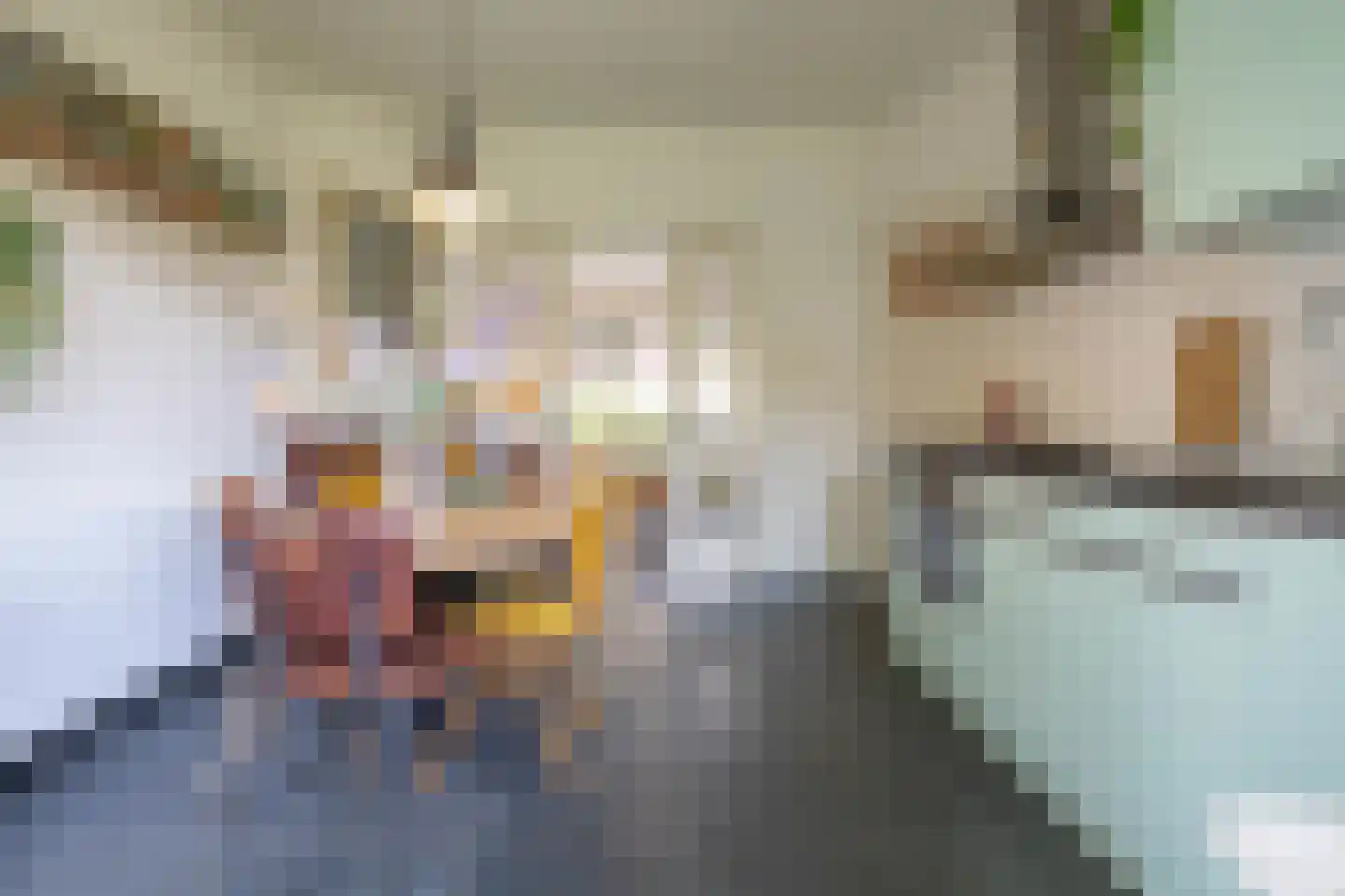Van Speykstraat 43 Groningen thumbnail 18
