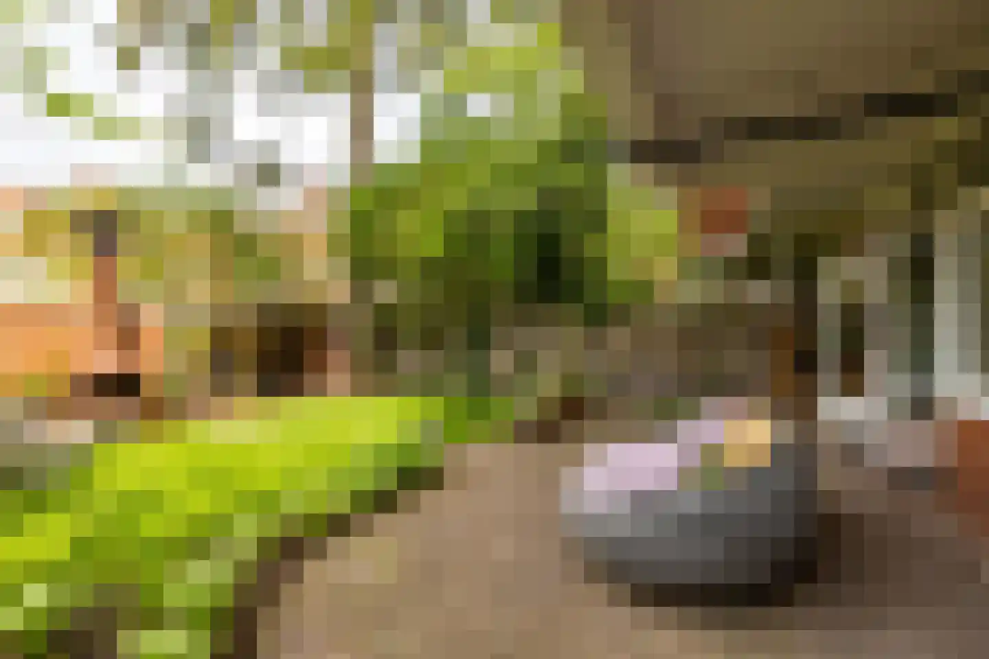Van Speykstraat 43 Groningen thumbnail 29