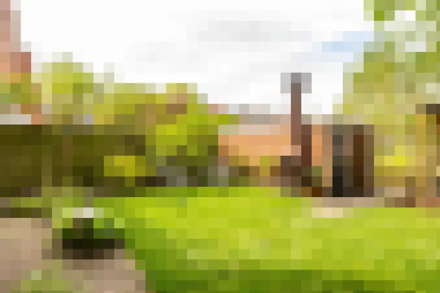 Van Speykstraat 43 Groningen thumbnail 30