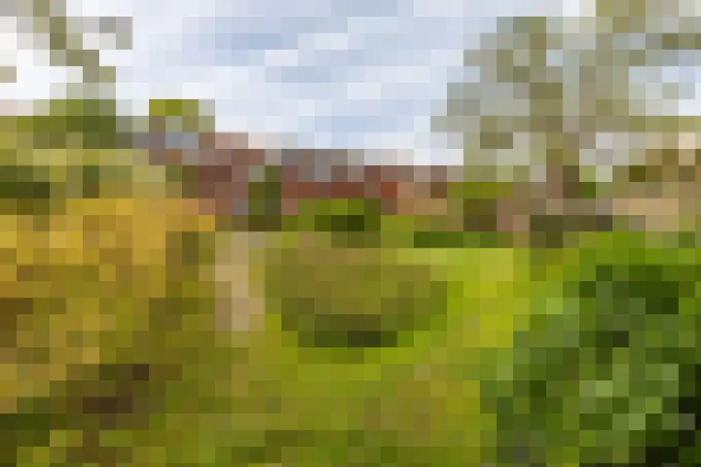 Van Speykstraat 43 Groningen thumbnail 34