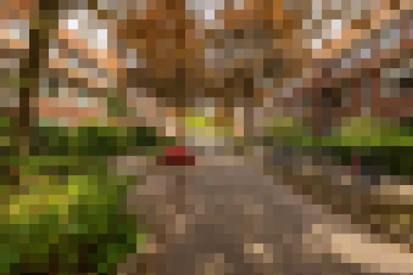 Van Speykstraat 43 Groningen thumbnail 5