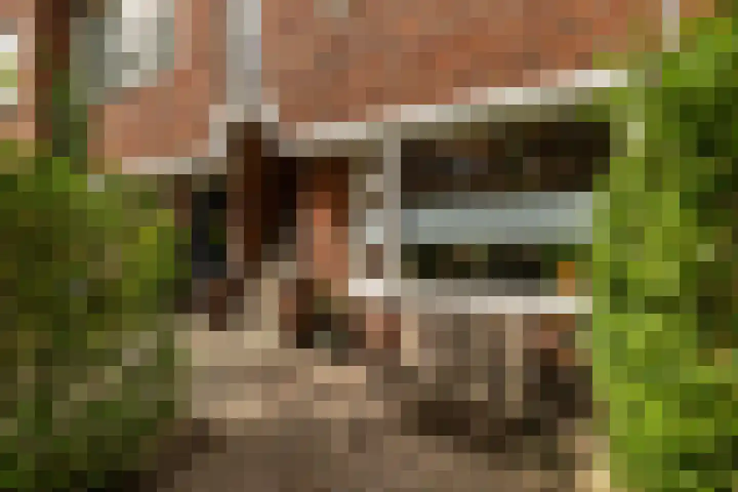Van Speykstraat 43 Groningen thumbnail 9
