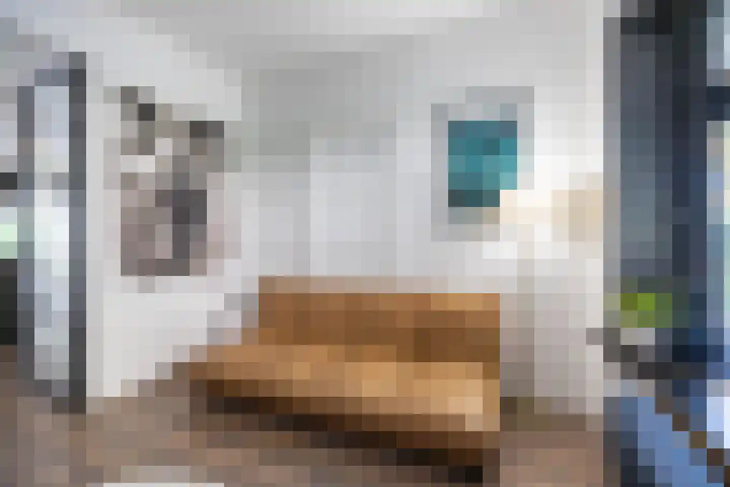 Van Speykstraat 44 Groningen thumbnail 13