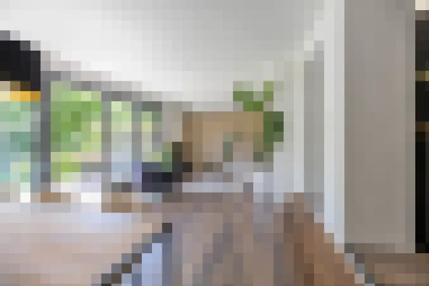 Van Speykstraat 44 Groningen thumbnail 22