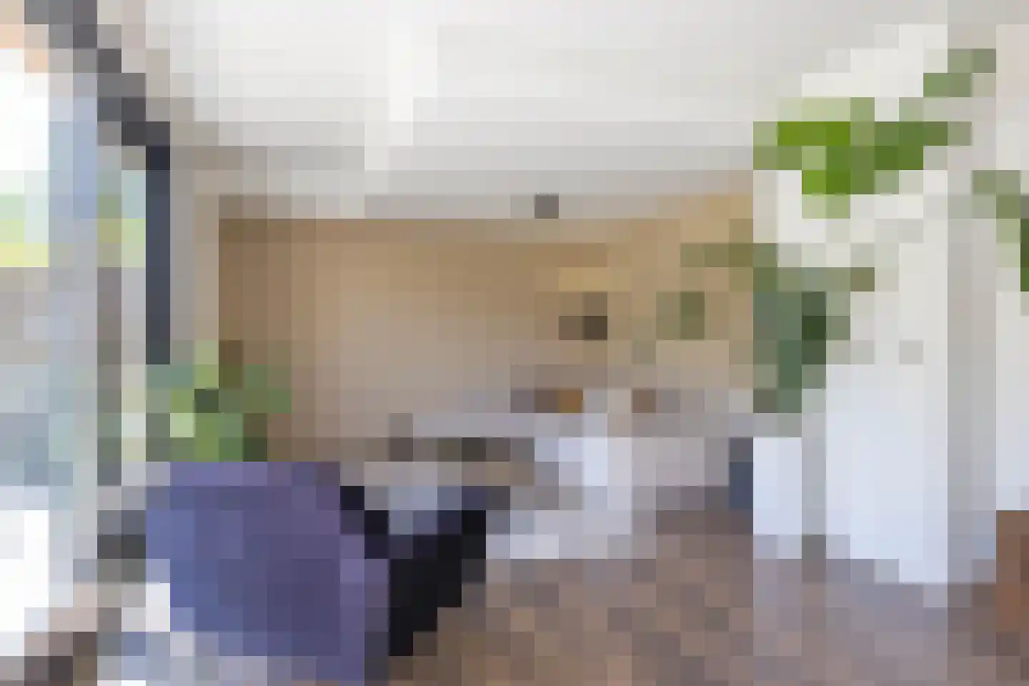 Van Speykstraat 44 Groningen thumbnail 23