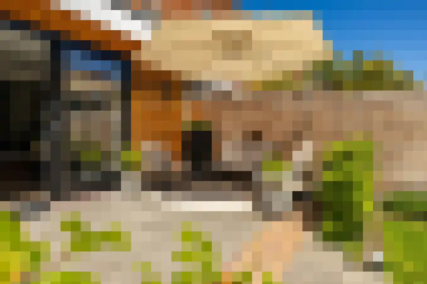 Van Speykstraat 44 Groningen thumbnail 35