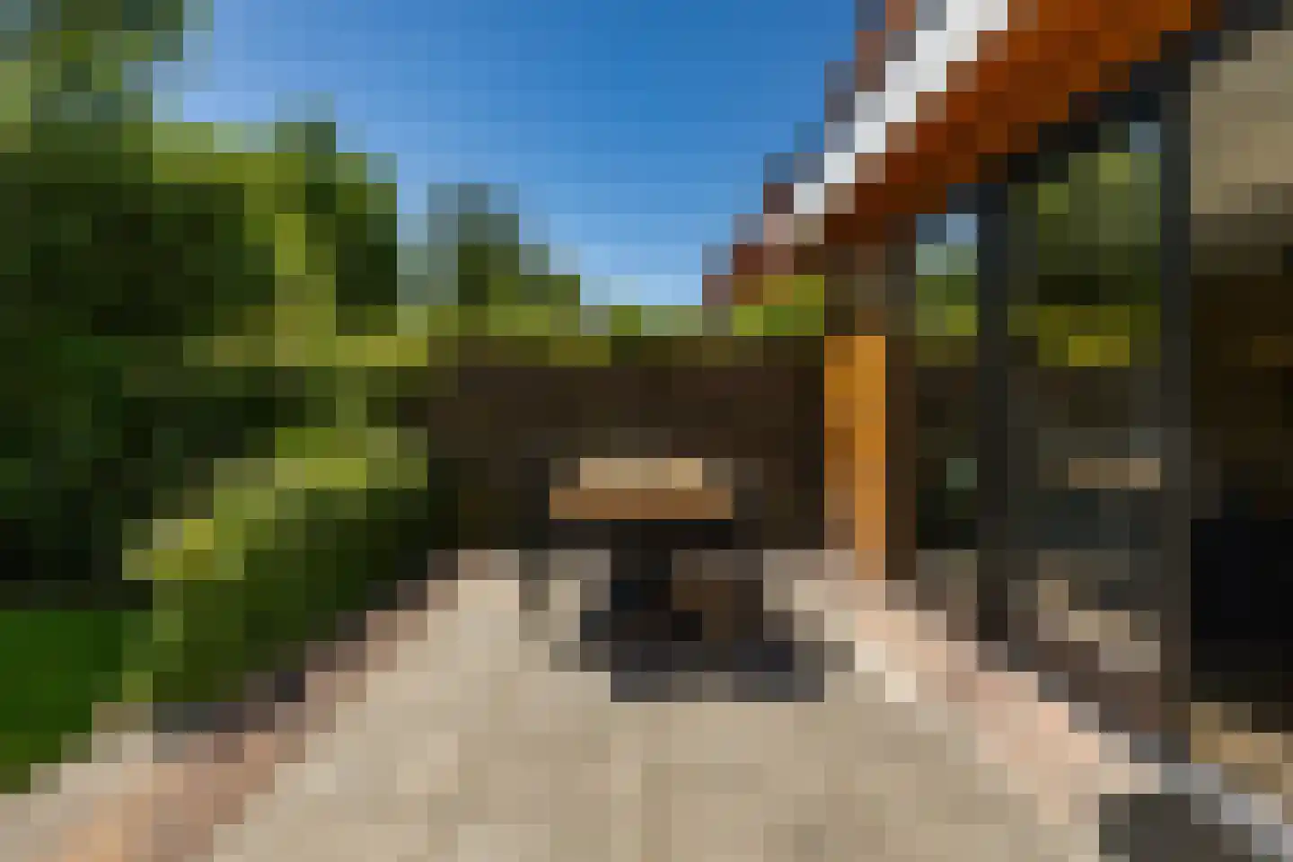 Van Speykstraat 44 Groningen thumbnail 36