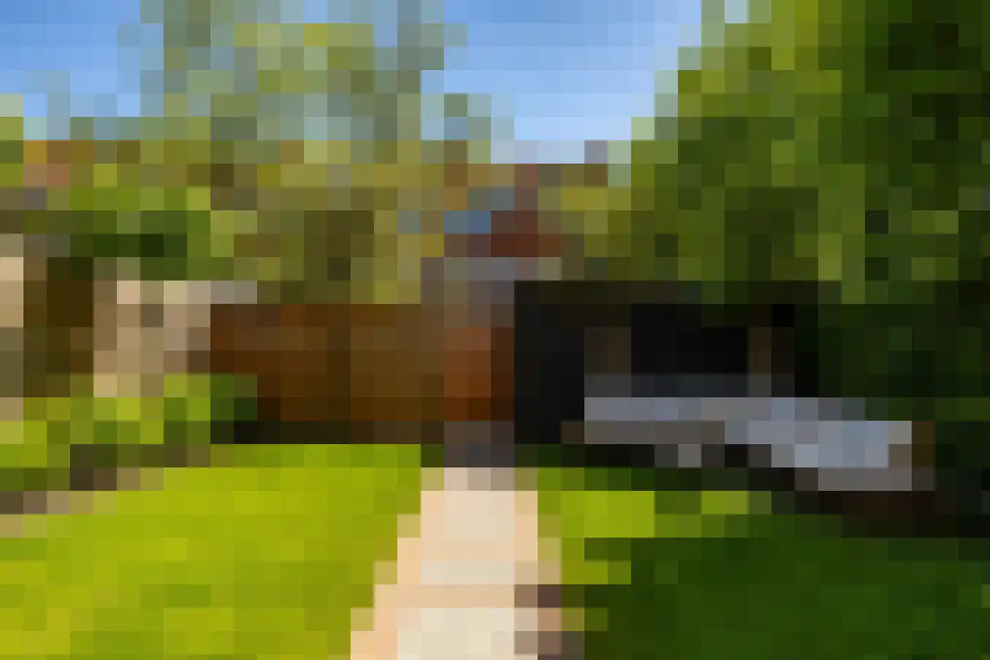 Van Speykstraat 44 Groningen thumbnail 38