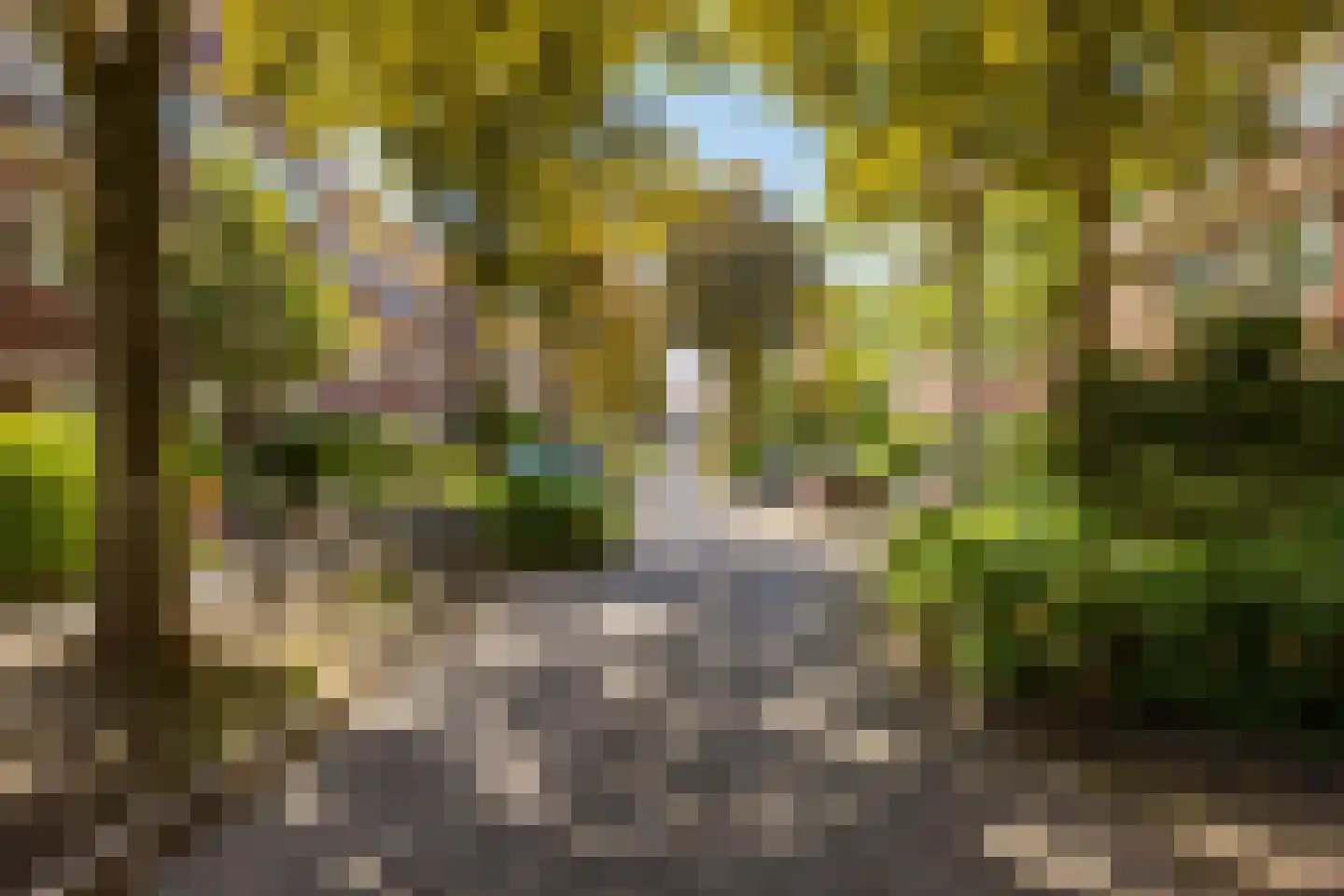 Van Speykstraat 44 Groningen thumbnail 5