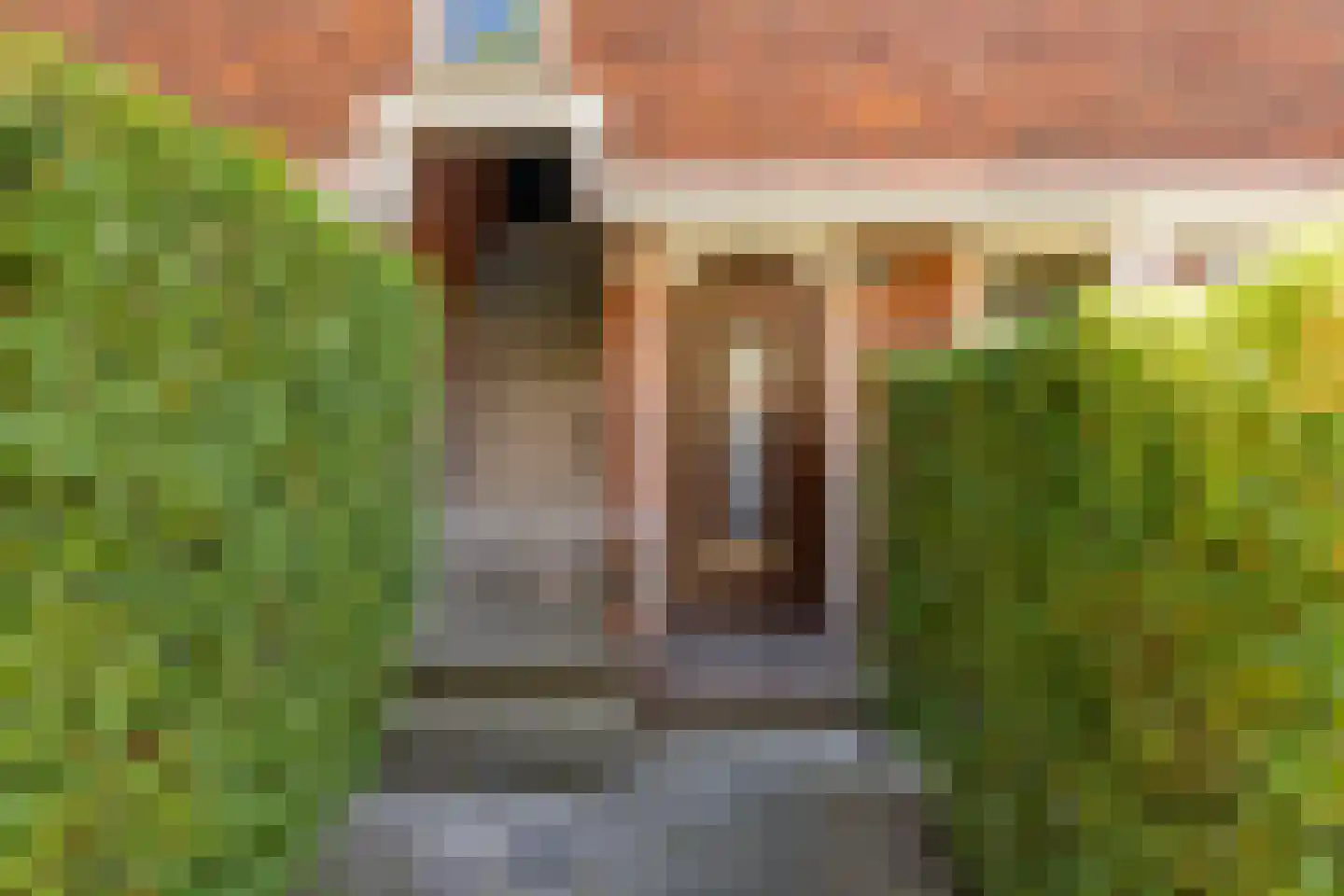 Van Speykstraat 44 Groningen thumbnail 6