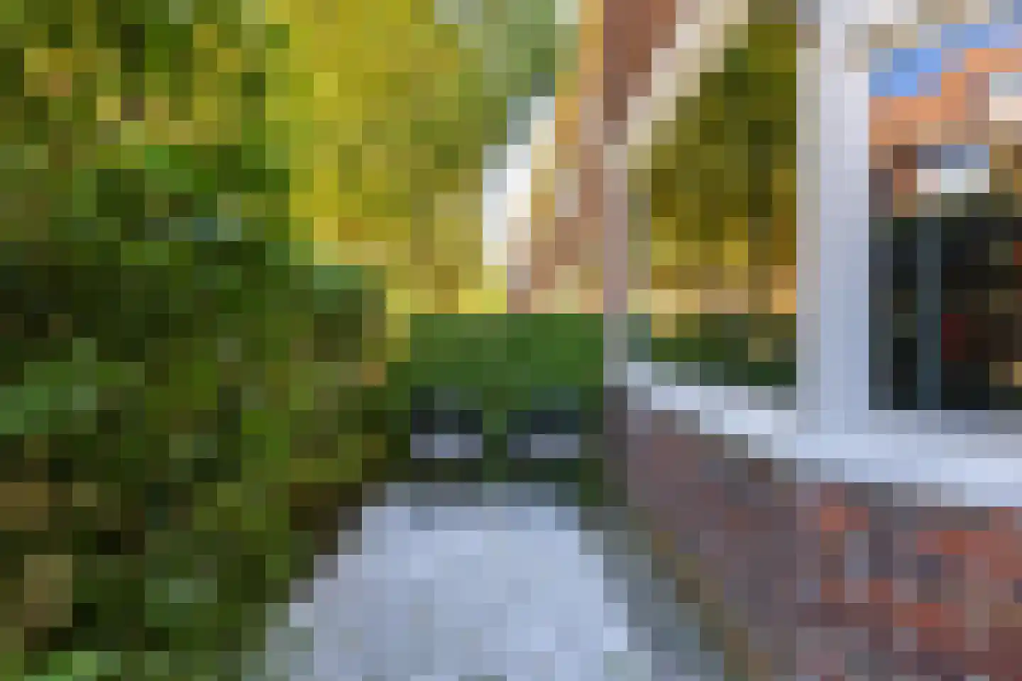 Van Speykstraat 44 Groningen thumbnail 7