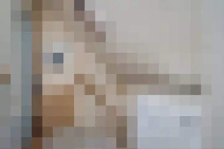 Van Speykstraat 5 Capelle aan den IJssel thumbnail 13