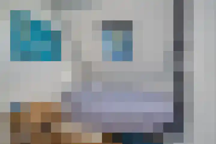 Van Speykstraat 5 Capelle aan den IJssel thumbnail 15