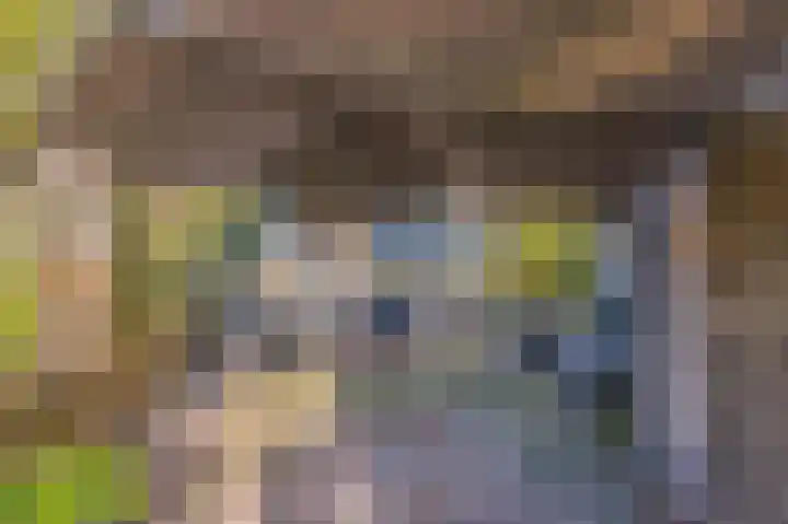 Van Speykstraat 5 Capelle aan den IJssel thumbnail 17