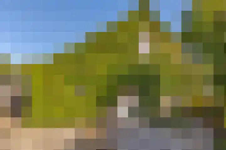 Van Speykstraat 5 Capelle aan den IJssel thumbnail 26