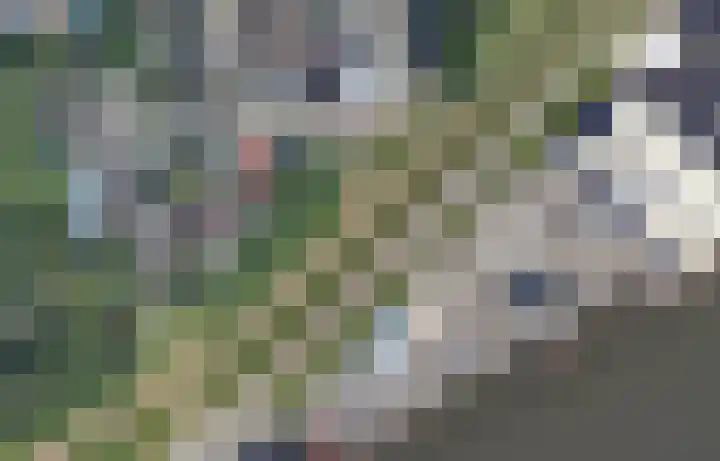 Van Speykstraat 5 Capelle aan den IJssel thumbnail 28