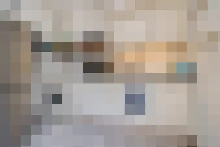 Van Speykstraat 5 Capelle aan den IJssel thumbnail 9