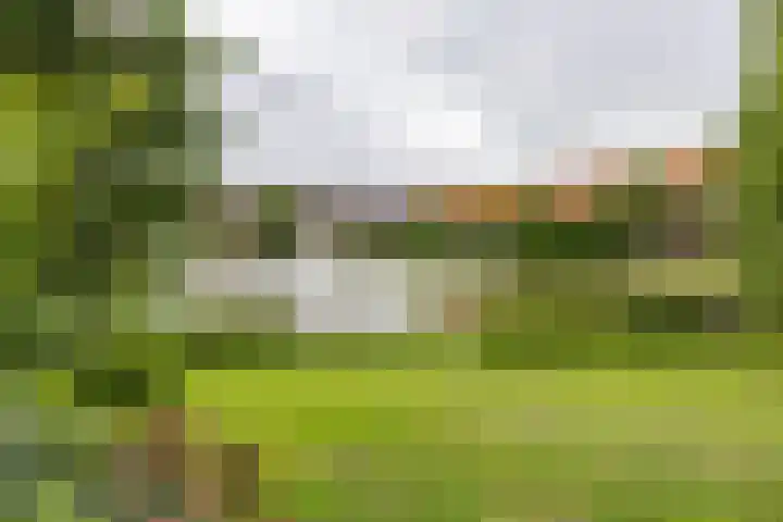 Van Speykstraat 53 b Groningen thumbnail 32