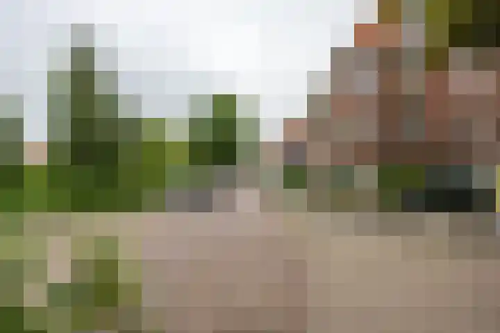 Van Speykstraat 53 b Groningen thumbnail 6