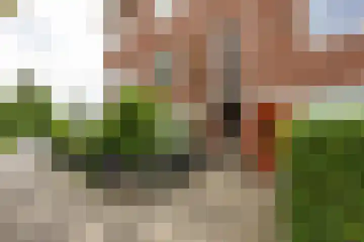 Van Speykstraat 53 b Groningen thumbnail 7