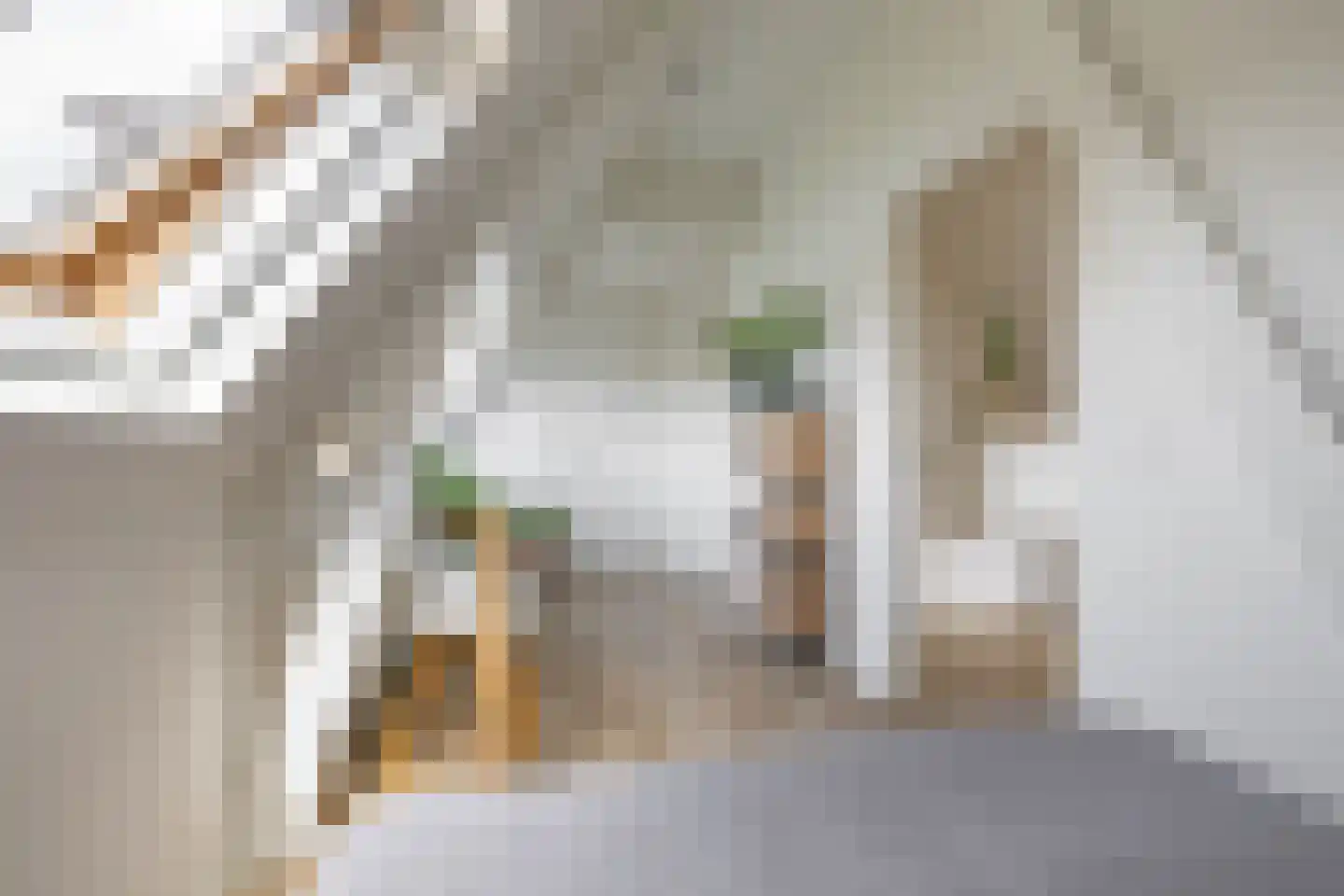 Van Speykstraat 53 d Groningen thumbnail 16