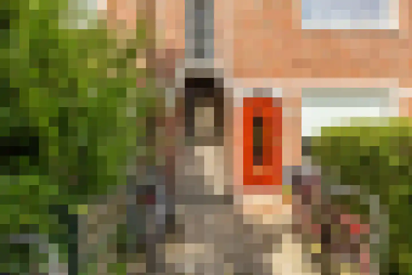Van Speykstraat 53 d Groningen thumbnail 5