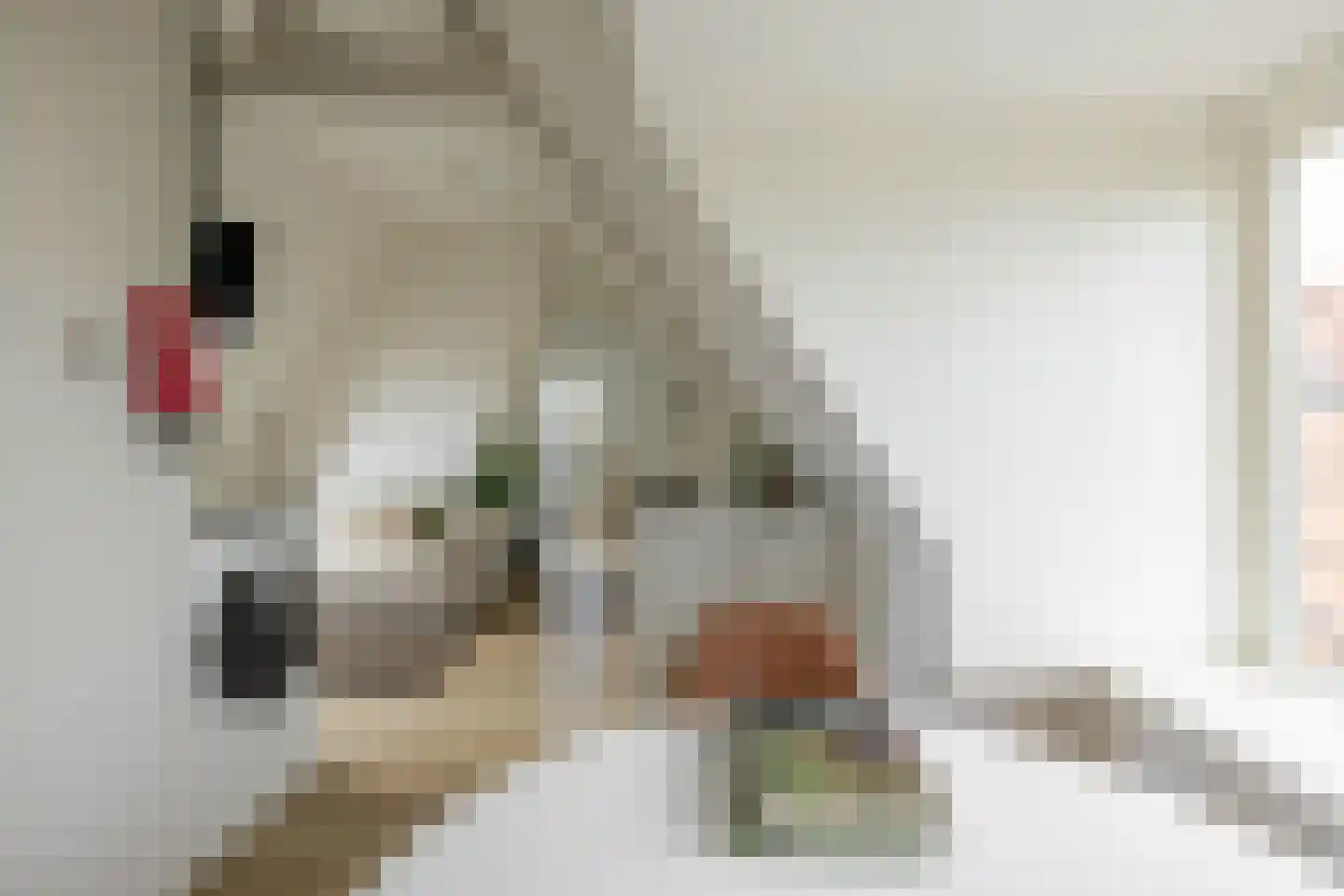 Van Speykstraat 53 d Groningen thumbnail 7