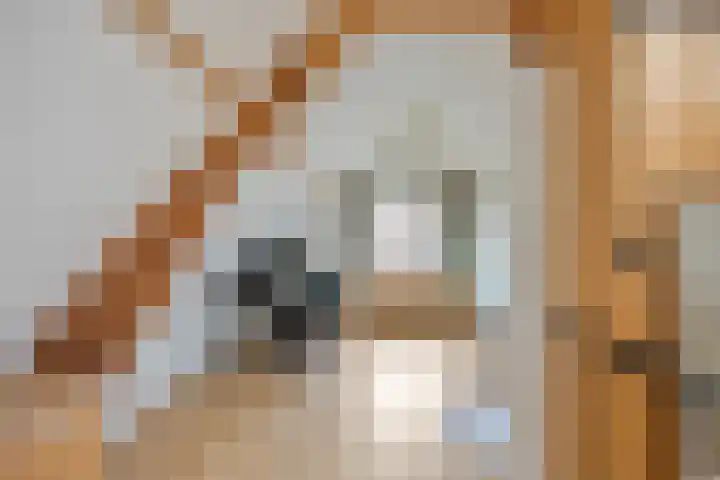 Van Speykstraat 58 Capelle aan den IJssel thumbnail 16