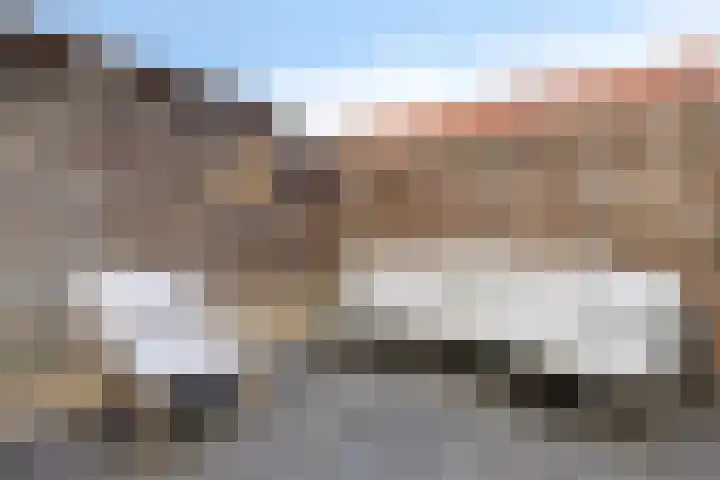 Van Speykstraat 58 Capelle aan den IJssel thumbnail 20
