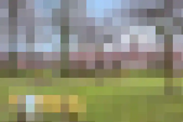 Van Speykstraat 58 Capelle aan den IJssel thumbnail 21