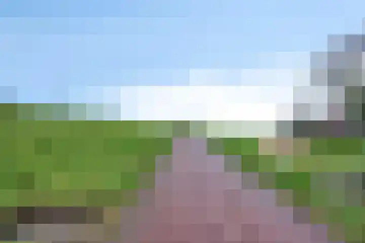 Van Speykstraat 58 Capelle aan den IJssel thumbnail 23
