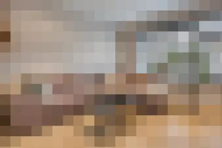 Van Speykstraat 58 Capelle aan den IJssel thumbnail 6