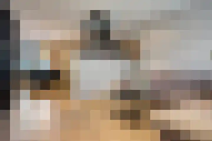 Van Speykstraat 58 Capelle aan den IJssel thumbnail 8